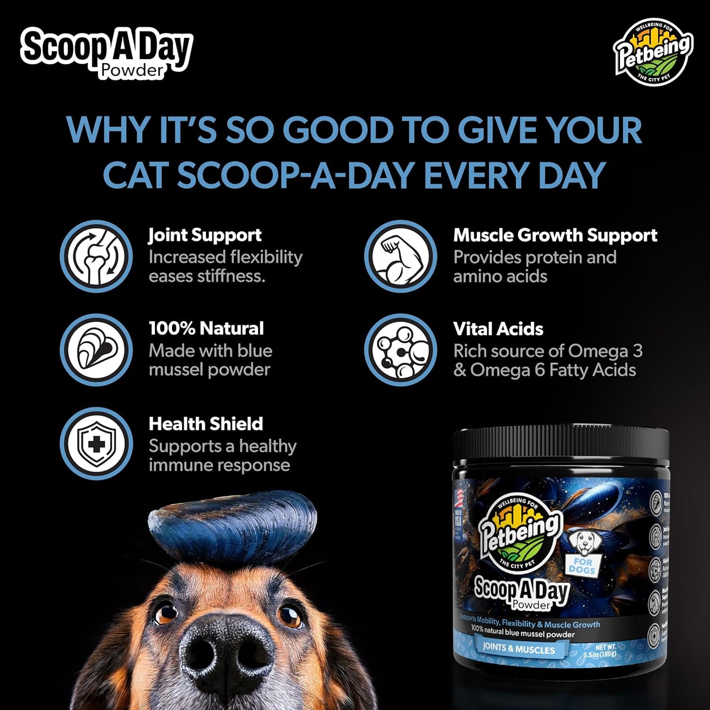 Scoop A Day Dog Supplement - Blue Mussel Powder | Mobility, Muscle, Joints Support | Omega 3 & 6 for Healthy Digestion and Immune Boost - Made in USA (3.5 oz)