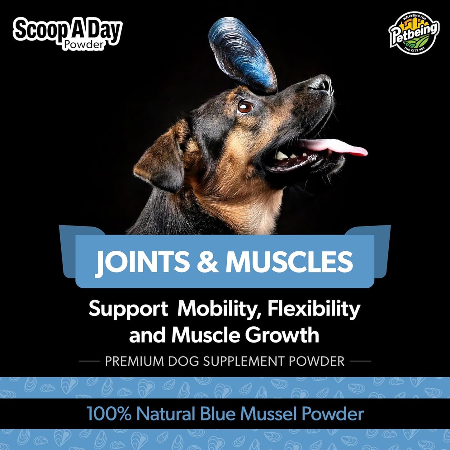 Scoop A Day Dog Supplement - Blue Mussel Powder | Mobility, Muscle, Joints Support | Omega 3 & 6 for Healthy Digestion and Immune Boost - Made in USA (3.5 oz)