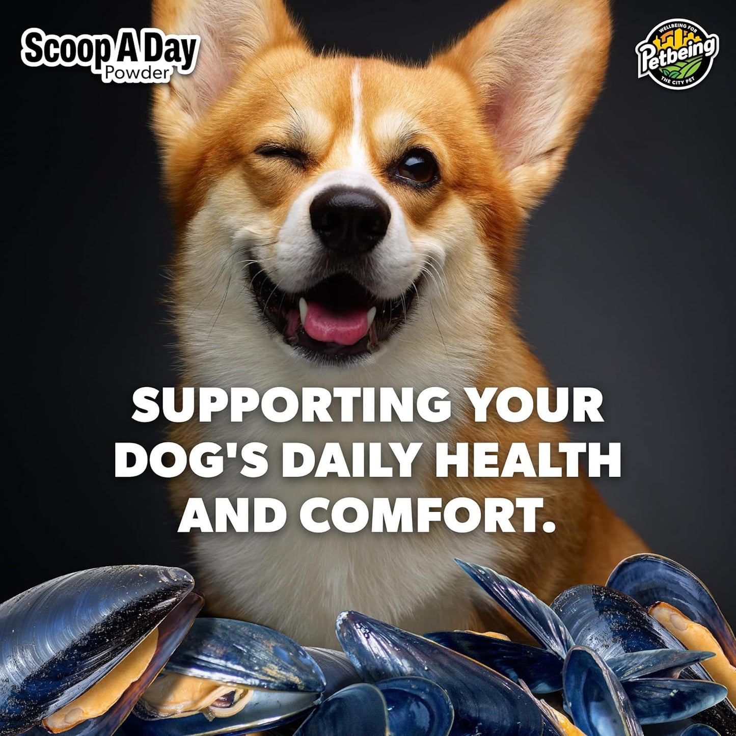 Scoop A Day Dog Supplement - Blue Mussel Powder | Mobility, Muscle, Joints Support | Omega 3 & 6 for Healthy Digestion and Immune Boost - Made in USA (3.5 oz)