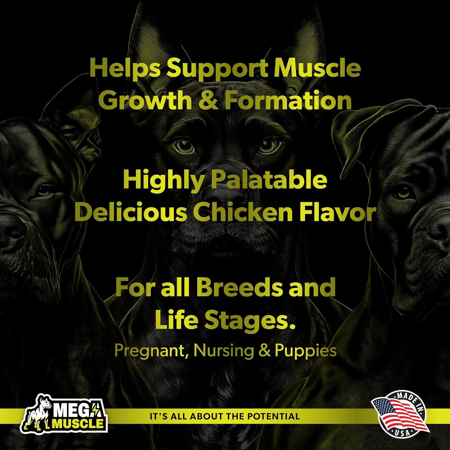 Muscle Gain | 2-in-1 Daily Booster & Multivitamin Chewable Tablets for Dogs in All Life Stages | Ultimate Puppy & Adult Dog Supplement for Muscle Gain | Tasty Chicken Flavor | 60 Tablets
