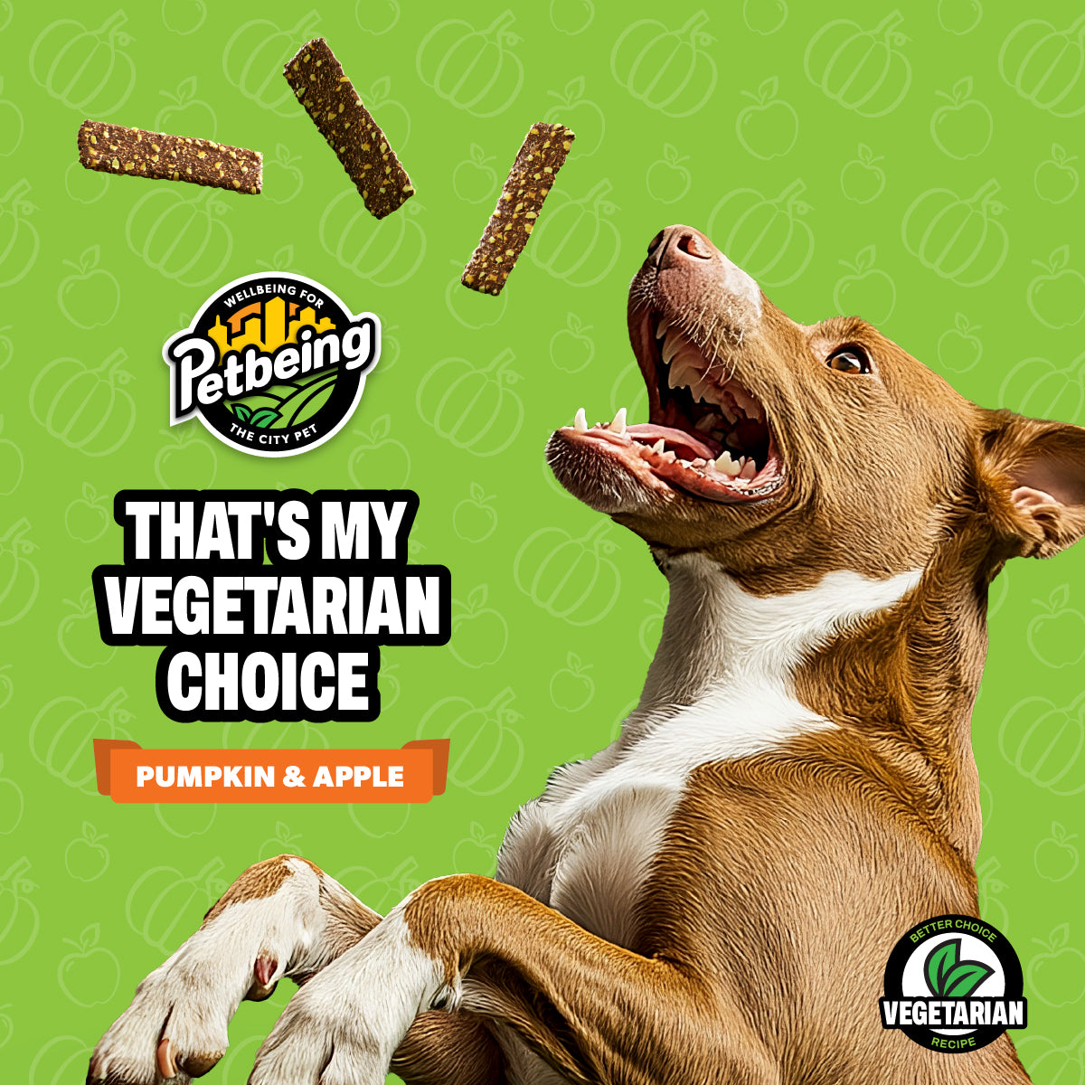 Green A Day - Veggie Strips | Pumpkin - Apple Flavor | A Healthy Vegetarian Supplement Chew for Dogs Made with Real Fruits and Vegetables | 3 oz Bag x4