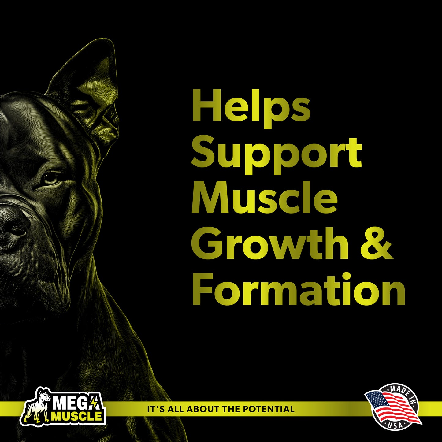 Muscle Gain | 2-in-1 Daily Booster & Multivitamin Chewable Tablets for Dogs in All Life Stages | Ultimate Puppy & Adult Dog Supplement for Muscle Gain | Tasty Chicken Flavor | 60 Tablets
