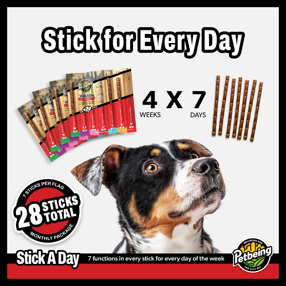Stick a Day | Mix of Chicken & Beef Flavor | Specially Formulated 7-in-1 Functions Daily Real Meat Snacks for Dogs | Healthy Tasty Treat & Pet Vitamins & Supplements Combination (Pack of 28 Sticks)