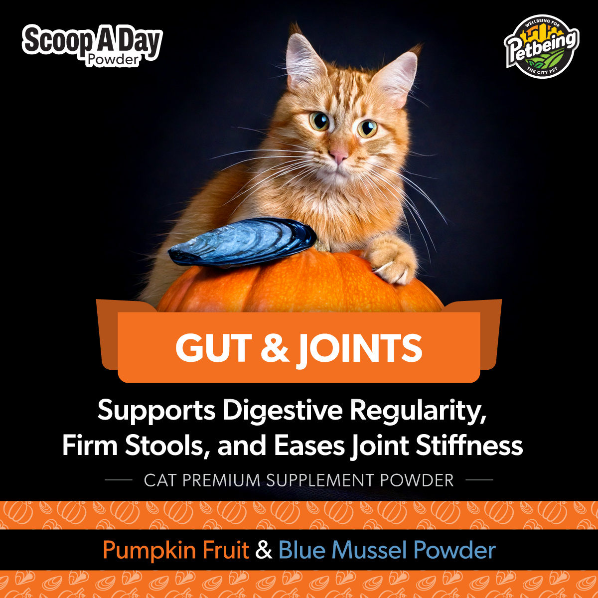 Scoop A Day Cat Supplement | Gut & Joint Support with Pumpkin & Blue Mussel Powder | Omega 3 & 6 for Healthy Digestion, Mobility, and Immune Boost | Made in USA - 4.8 oz (134g)