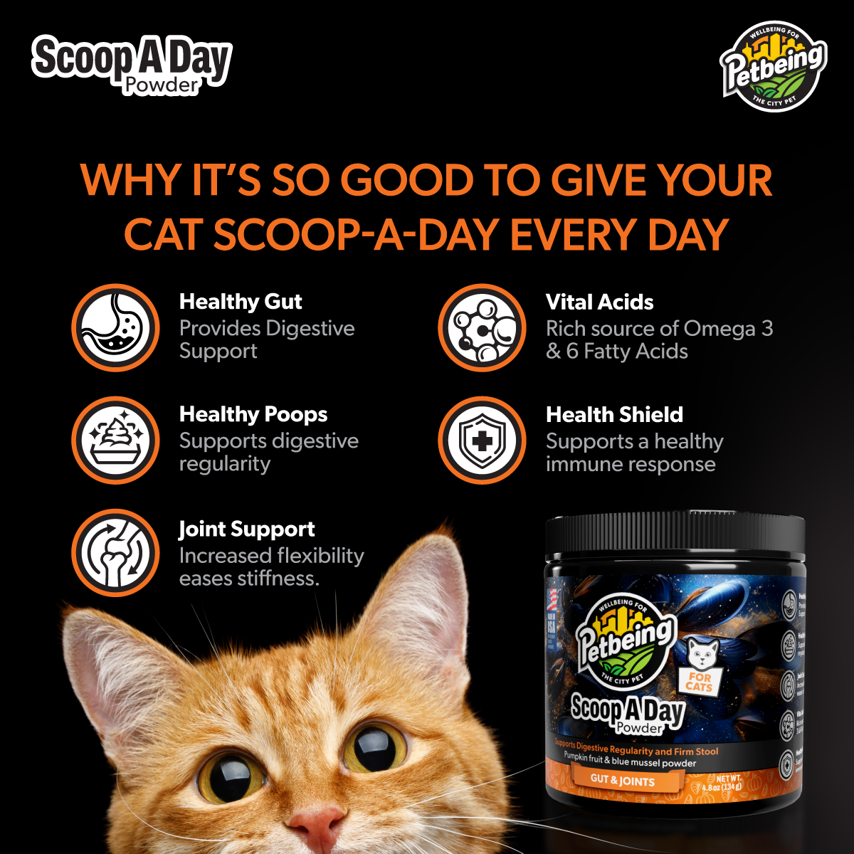 Scoop A Day Cat Supplement | Gut & Joint Support with Pumpkin & Blue Mussel Powder | Omega 3 & 6 for Healthy Digestion, Mobility, and Immune Boost | Made in USA - 4.8 oz (134g)