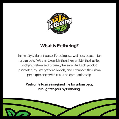 Green A Day - Veggie Strips | a Healthy Vegetarian Supplement Chew for Dogs Made with Real Fruits and Vegetables | 3 oz Bag x4 (Carrot - Apple)
