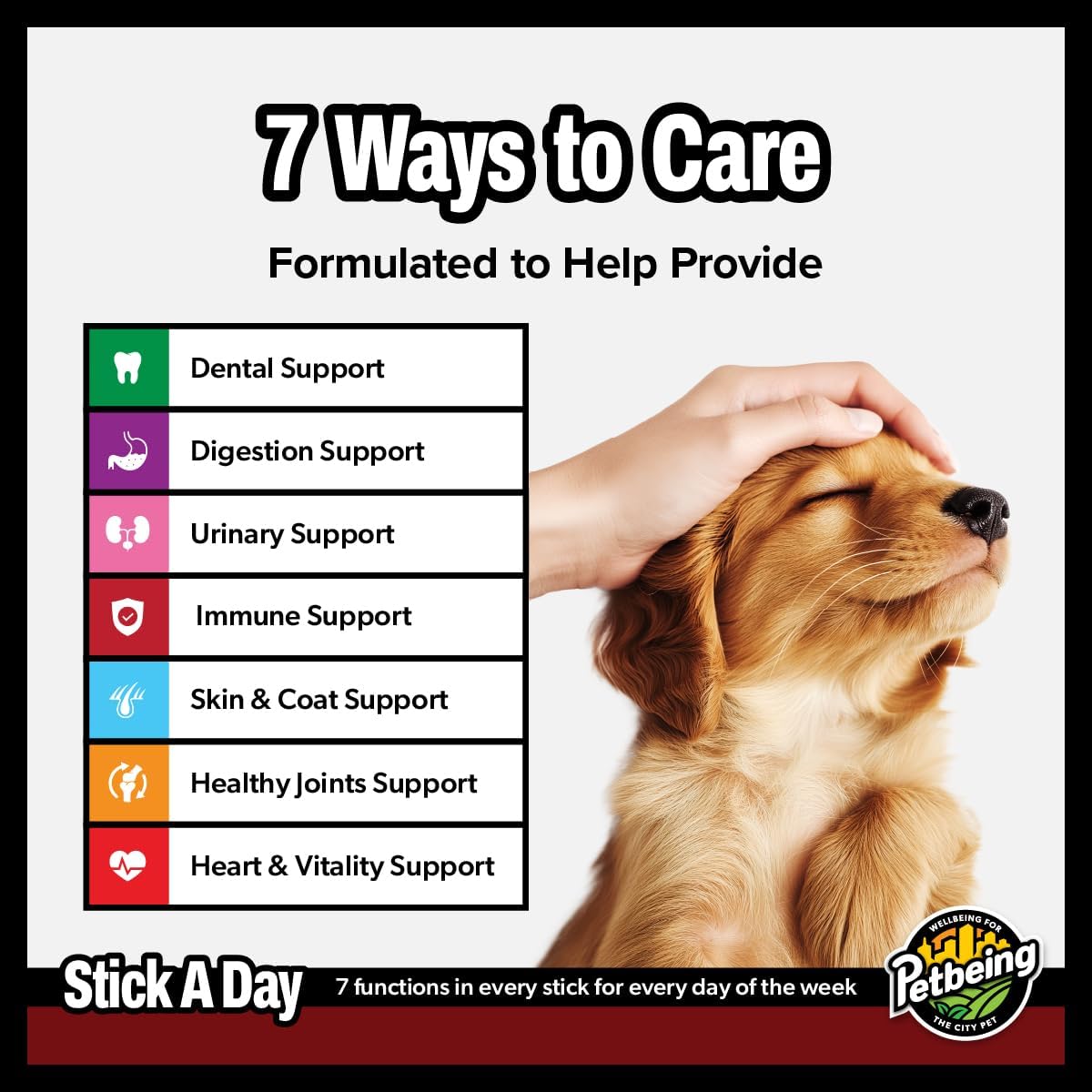 Stick a Day | Specially Formulated 7-in-1 Functions Daily Real Meat Snacks for Dogs | Healthy Tasty Treat & Pet Vitamins & Supplements Combination (7-Pack x 4, Beef)