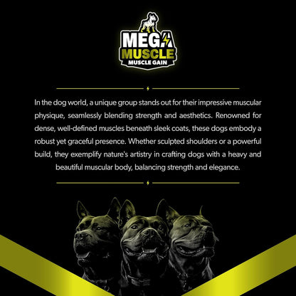 Muscle Gain | 2-in-1 Daily Booster & Multivitamin Chewable Tablets for Dogs in All Life Stages | Ultimate Puppy & Adult Dog Supplement for Muscle Gain | Tasty Chicken Flavor | 60 Tablets