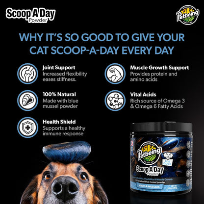 Scoop A Day Dog Supplement - Blue Mussel Powder | Mobility, Muscle, Joints Support | Omega 3 & 6 for Healthy Digestion and Immune Boost - Made in USA (3.5 oz)