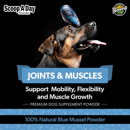 Scoop A Day Dog Supplement - Blue Mussel Powder | Mobility, Muscle, Joints Support | Omega 3 & 6 for Healthy Digestion and Immune Boost - Made in USA (3.5 oz)