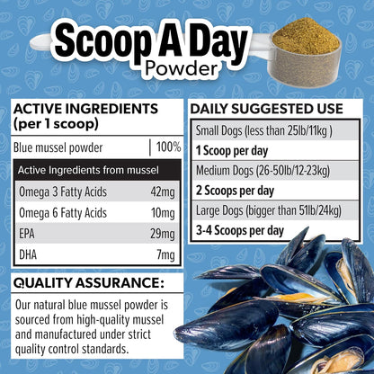 Scoop A Day Dog Supplement - Blue Mussel Powder | Mobility, Muscle, Joints Support | Omega 3 & 6 for Healthy Digestion and Immune Boost - Made in USA (3.5 oz)