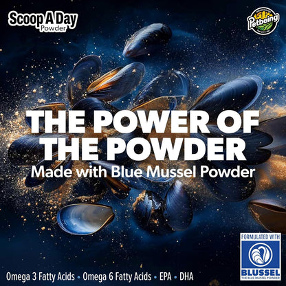 Scoop A Day Dog Supplement - Blue Mussel Powder | Mobility, Muscle, Joints Support | Omega 3 & 6 for Healthy Digestion and Immune Boost - Made in USA (3.5 oz)