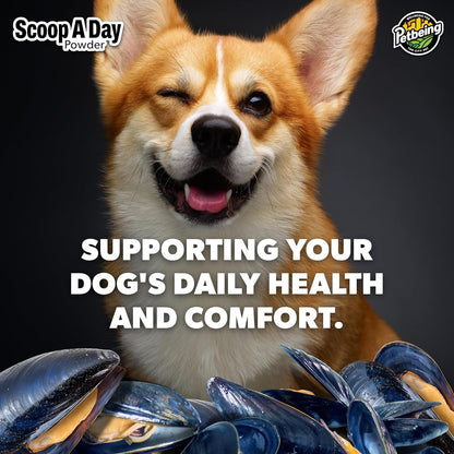 Scoop A Day Dog Supplement - Blue Mussel Powder | Mobility, Muscle, Joints Support | Omega 3 & 6 for Healthy Digestion and Immune Boost - Made in USA (3.5 oz)