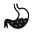 Digestion