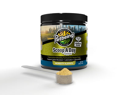 Scoop A Day Dog Supplement for Senior Dogs | Blue Mussel Powder | Mobility, Muscle, Joints Support | Omega 3 & 6 for Healthy Digestion and Immune Boost - Made in USA (4.2 oz (Senior Dogs)