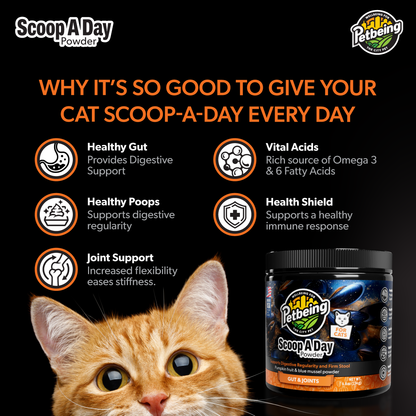 Scoop A Day Cat Supplement | Gut & Joint Support with Pumpkin & Blue Mussel Powder | Omega 3 & 6 for Healthy Digestion, Mobility, and Immune Boost | Made in USA - 4.8 oz (134g)