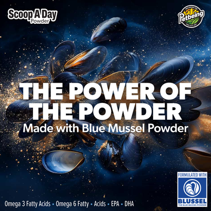 Scoop A Day Cat Supplement | Gut & Joint Support with Pumpkin & Blue Mussel Powder | Omega 3 & 6 for Healthy Digestion, Mobility, and Immune Boost | Made in USA - 4.8 oz (134g)