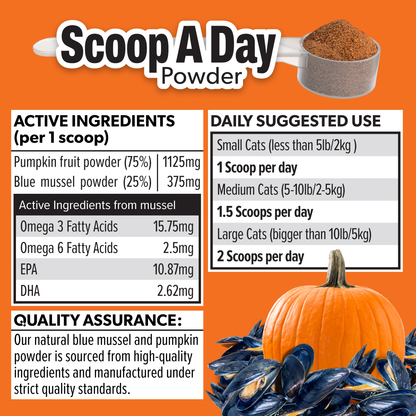 Scoop A Day Cat Supplement | Gut & Joint Support with Pumpkin & Blue Mussel Powder | Omega 3 & 6 for Healthy Digestion, Mobility, and Immune Boost | Made in USA - 4.8 oz (134g)