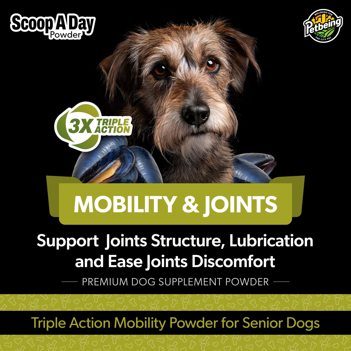 Scoop A Day Dog Supplement for Senior Dogs | Blue Mussel Powder | Mobility, Muscle, Joints Support | Omega 3 & 6 for Healthy Digestion and Immune Boost - Made in USA (4.2 oz (Senior Dogs)