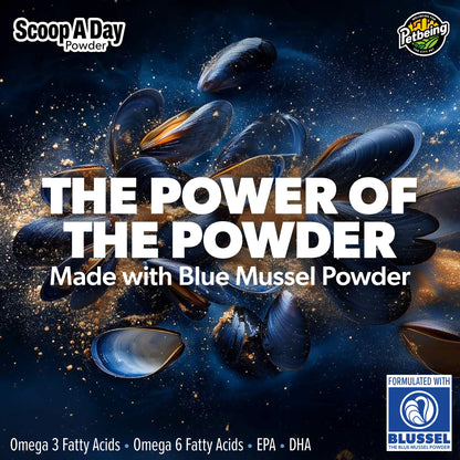 Scoop A Day Dog Supplement for Senior Dogs | Blue Mussel Powder | Mobility, Muscle, Joints Support | Omega 3 & 6 for Healthy Digestion and Immune Boost - Made in USA (4.2 oz (Senior Dogs)