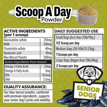 Scoop A Day Dog Supplement for Senior Dogs | Blue Mussel Powder | Mobility, Muscle, Joints Support | Omega 3 & 6 for Healthy Digestion and Immune Boost - Made in USA (4.2 oz (Senior Dogs)