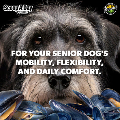 Scoop A Day Dog Supplement for Senior Dogs | Blue Mussel Powder | Mobility, Muscle, Joints Support | Omega 3 & 6 for Healthy Digestion and Immune Boost - Made in USA (4.2 oz (Senior Dogs)