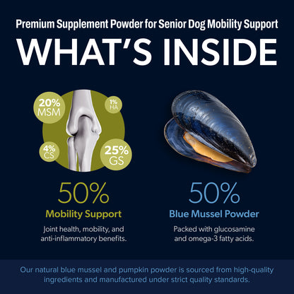 Scoop A Day Dog Supplement for Senior Dogs | Blue Mussel Powder | Mobility, Muscle, Joints Support | Omega 3 & 6 for Healthy Digestion and Immune Boost - Made in USA (4.2 oz (Senior Dogs)